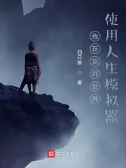 《我在巫师世界使用人生模拟器》小说封面