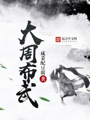 《大周布武》小说封面