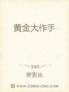 《黄金大作手》小说封面