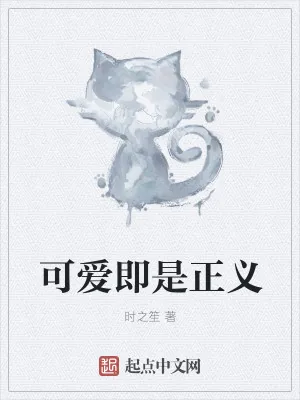 《可爱即是正义》小说封面