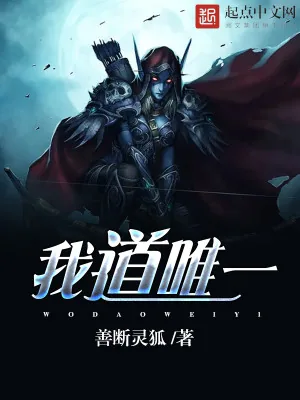 《我道唯一》小说封面
