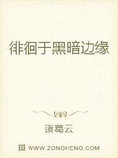 《徘徊于黑暗边缘》小说封面