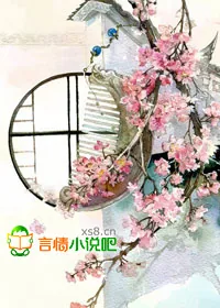 《冷王无节操 ，王妃很淡定》小说封面