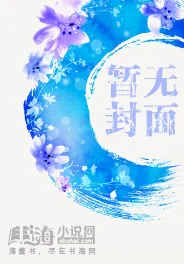 《天夜长》小说封面