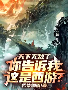 《天下无敌了，你告诉我这是西游？》小说封面