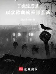 《印象流反派：以实验成就巫师至高》小说封面