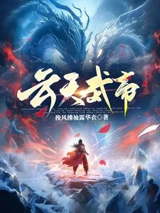 《云天武帝》小说封面