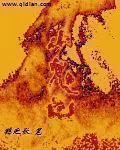 《山鬼记》小说封面