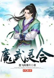 《魔武灵合》小说封面
