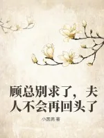 《顾总别求了，夫人不会再回头了》小说封面