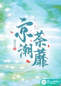 《京潮荼蘼》小说封面