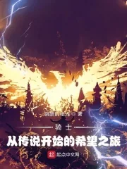 《骑士:从传说开始的希望之旅!》小说封面