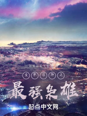 《全职法师之最强枭雄》小说封面