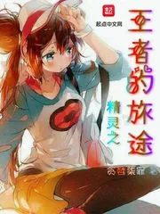《精灵之王者的旅途》小说封面