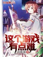 《这个游戏有点难》小说封面