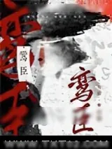 《鸾臣》小说封面