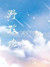 《野玫瑰》小说封面
