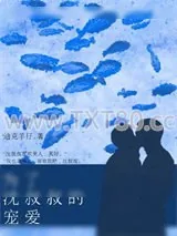 《为了沈先生的宠爱》小说封面