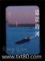 《错误的河》小说封面