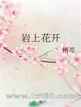 《岩上花开》小说封面