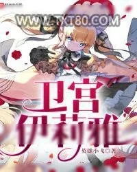 《卫宫伊莉雅》小说封面