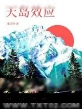 《天岛效应》小说封面