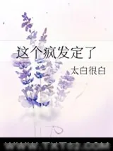 《这个疯发定了》小说封面
