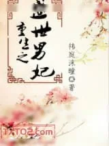 《重生之盛世男妃》小说封面