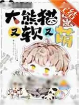 《大熊猫崽崽又软又萌》小说封面