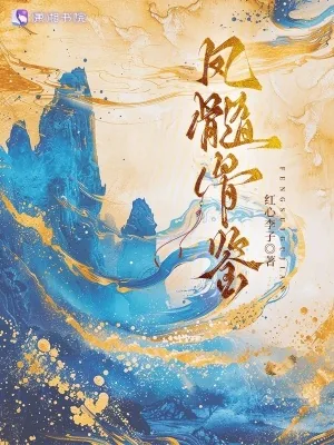 《凤髓骨鉴》小说封面