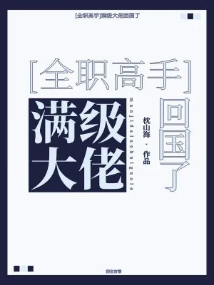 《[全职高手]满级大佬回国了》小说封面