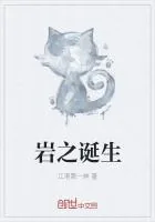 《岩之诞生》小说封面