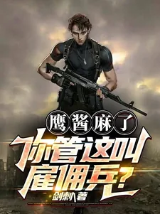 《鹰酱麻了你管这叫雇佣兵?》小说封面