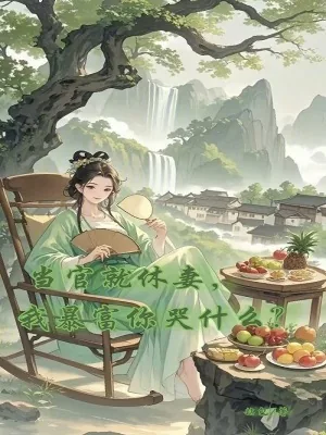 《当官就休妻，我暴富你哭什么？》小说封面