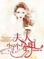 《夫人少了个马甲》小说封面