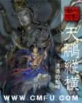 《天鹏纵横》小说封面