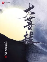 《大菩提》小说封面