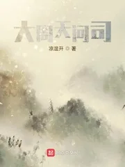 《大周天问司》小说封面